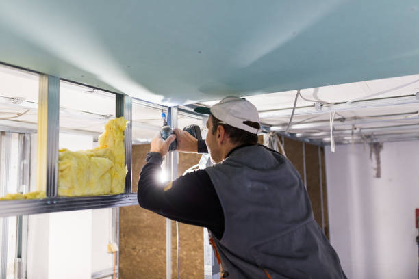 Best Fiberglass Insulation  in North Massapequa, NY