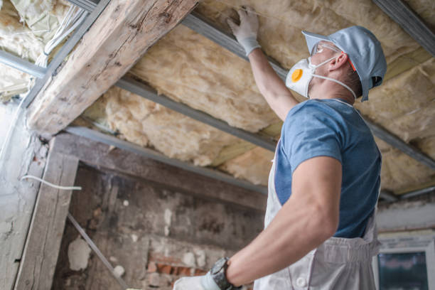 Best Insulation Contractors for Homes  in North Massapequa, NY