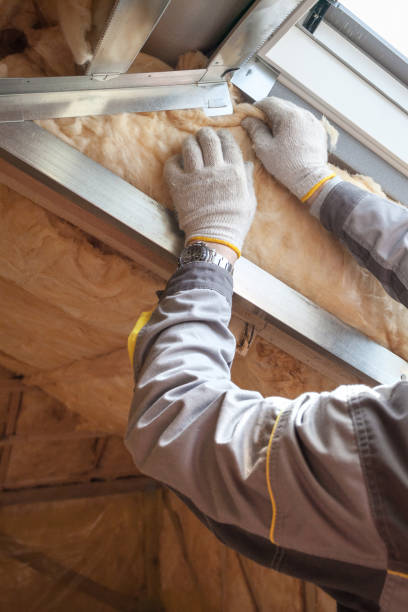 Best Wall Insulation Contractor  in North Massapequa, NY
