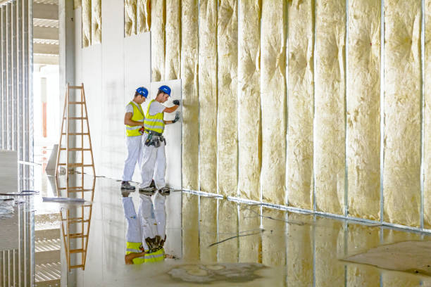 Best Attic Insulation Installation  in North Massapequa, NY